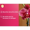 OR BRUN Engrais orchidées - 250ml - Améliore & favorise la croissance - Fabri...