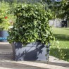 Jardiniere Muret a réserve d'eau avec roulettes - EDA - Toscane - 74 L - 79 x...