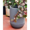 Pot de fleurs - RIVIERA - Granit Tulipe - D40 H57 cm - Gris