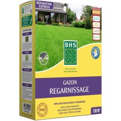 Semence de Gazon - BHS -  Gazon Regarnissage 3kg