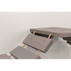 Échelle d'escalade murale pour chats TRIXIE - 150x30 cm - Taupe en bois massi...