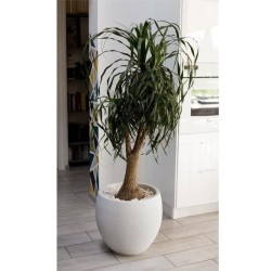 Pot de fleurs Rond Egg Ø 50cm - EDA - Graphit - 46 L - Ø 50 x H. 45 cm - Blan...