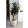 Pot de fleurs Rond Egg Ø 50cm - EDA - Graphit - 46 L - Ø 50 x H. 45 cm - Blan...