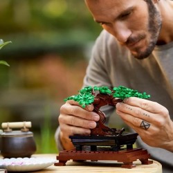 LEGO Icons 10281 Bonsai, Construction, Fleurs Décoratives, Kit Bonsai, Plante...