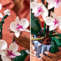 LEGO  Icons 10311 L'Orchidée Plantes de Fleurs Artificielles d'Intérieur - Dé...