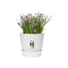 ELHO Pot de fleurs GREENVILLE - Ø 47 x H 44,1 cm - 100% recyclé - Blanc