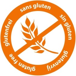 Peinture au doigt 6 couleurs x 45ml - SES CREATIVE - Intensité des