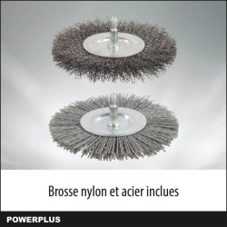 Powerplus Désherbeur Téléscopique Électrique POWXG6650 - Extracteur de Mauvai...