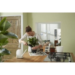 ELHO Pot de fleurs Self-watering Insert 21 living - Ø20,7 x H19,5 cm - Noir