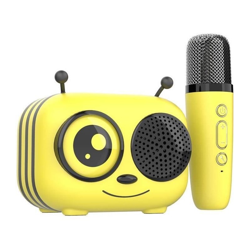 Kit karaoké / Enceinte Bluetooth et micro sans fil - CGV - MAYA, Effets voix ...