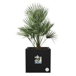 ELHO Bac a fleurs Vivo Next Square 40 - Ø 39 x H 38 cm - Intérieur,Extérieur ...
