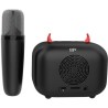 Kit karaoké / Enceinte Bluetooth et micro sans fil - CGV - DIABLO, Effets voi...