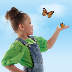 Hôtel de papillons - SES CREATIVE - Explore - Activité nature