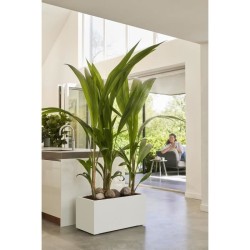 ELHO Bac a fleurs Vivo Next Long 60 - L 59 x W 30 x H 29 cm - Intérieur,Extér...