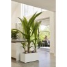 ELHO Bac a fleurs Vivo Next Long 60 - L 59 x W 30 x H 29 cm - Intérieur,Extér...
