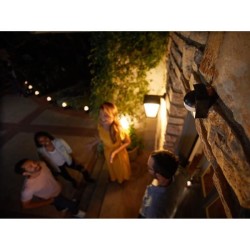 Détecteur de mouvement extérieur Philips Hue - PHILIPS - Outdoor