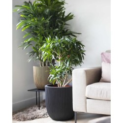 CAPI EUROPE Pot de fleurs boule RIB NL - 43x41 cm - Noir
