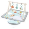 DISNEY BABY  -WINNIE- Tapis de sol éveil bébé évolutif, arche en bois pliable...