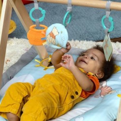 DISNEY BABY  -WINNIE- Tapis de sol éveil bébé évolutif, arche en bois pliable...
