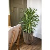 CAPI EUROPE Vase élégant GROOVE - 34x46 cm - Noir et doré - Résistant aux int...