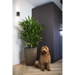 CAPI EUROPE Vase élégant GROOVE - 34x46 cm - Noir et doré - Résistant aux int...