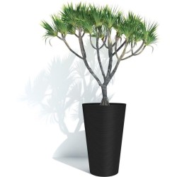 Pot de fleurs haut - GARDEN ID - Green Care Sense Haut Noir-Anthr. - 55 cm - ...