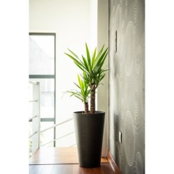 Pot de fleurs haut - GARDEN ID - Green Care Sense Haut Noir-Anthr. - 55 cm - ...