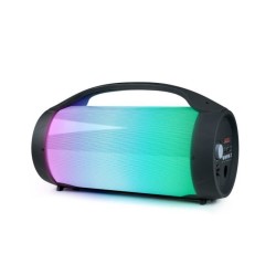 Enceinte sans fil BIGBEN PARTYBTPRO - Bluetooth - USB - Micro SD - AUX-IN - 3...