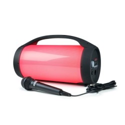 Enceinte sans fil BIGBEN PARTYBTPRO - Bluetooth - USB - Micro SD - AUX-IN - 3...