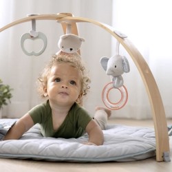 INGENUITY Tapis d'éveil réversible  bébé évolutif - Loamy™ -  pliable, arche ...