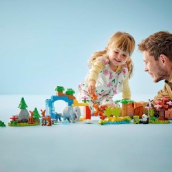 LEGO DUPLO Ma ville 10446 Familles d'animaux sauvages 3-en-1 - Jeux d'éveil a...