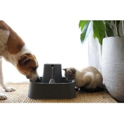 PetSafe - Fontaine Drinkwell 7,5 litres pour Grandes Races de Chiens/Plusieur...