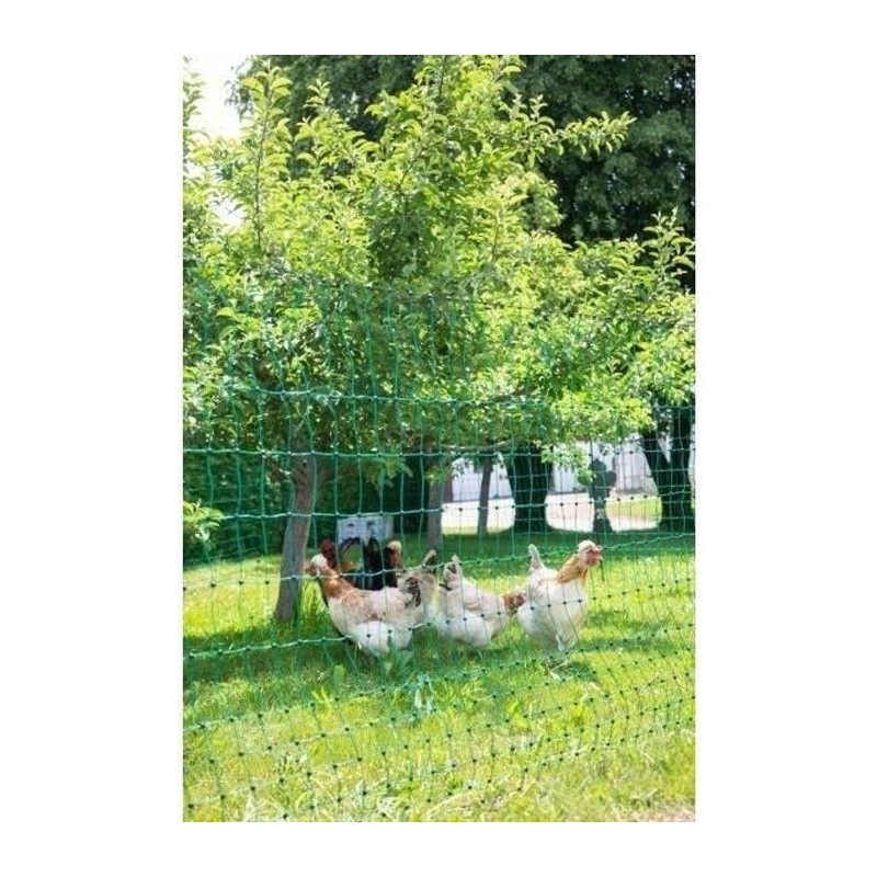 KERBL - Filet pour les poules 25 m - 106 cm - double pointe - vert - non élec...