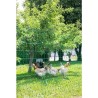 KERBL - Filet pour les poules 25 m - 106 cm - double pointe - vert - non élec...