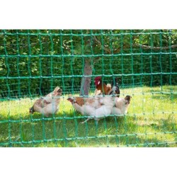 KERBL - Filet pour les poules 25 m - 106 cm - double pointe - vert - non élec...