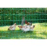KERBL - Filet pour les poules 25 m - 106 cm - double pointe - vert - non élec...