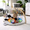 BABY EINSTEIN ZEN LE ZEBRE Tapis d'éveil arche de jeu en bois,  jouets multis...