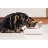 SUREFEED Distributeur de nourriture automatique pour chat anti-odeur - Blanc ...