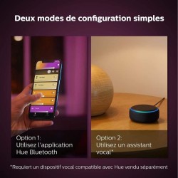Philips Hue White & Color Ambiance, lampe Bloom, Noir, compatible