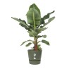 ELHO Pot de fleurs rond Greenville - Ø 55 x H 50 cm - Extérieur - 100% recycl...
