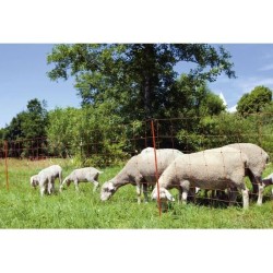KERBL -  Filet pour moutons OviNet électrifiable - Longueur 50 m - Hauteur 90...