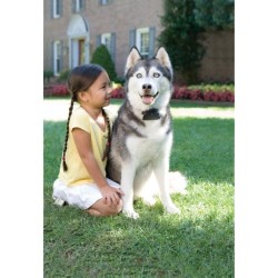 PETSAFE Collier supplémentaire Super Radio Fence - Pour clôture anti-fugue po...
