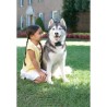 PETSAFE Collier supplémentaire Super Radio Fence - Pour clôture anti-fugue po...
