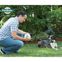 PETSAFE Collier supplémentaire Super Radio Fence - Pour clôture anti-fugue po...