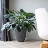 CAPI EUROPE Vase élégant GROOVE - 46x58 cm - Anthracite - 100% recyclable