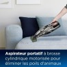 Aspirateur portable sans fil BISSELL - 2278N Pet Hair Eraser Hand