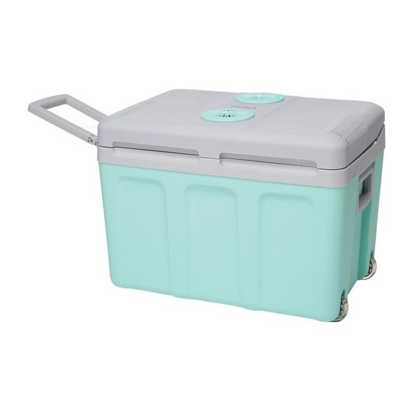 Glaciere thermoélectrique INCASA 40L - Alimentation 12/220V - Vert - Idéale p...