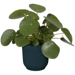 ELHO Pot de fleurs Rond VIBES - Ø22 x H20,16 cm - Plastique - Bleu Foncé