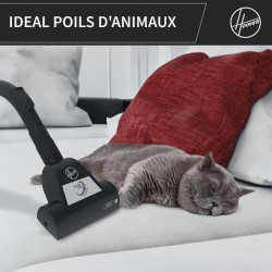 Aspirateur Traineau Sans Sac - HOOVER - HP320PET - 850 W - 2 L - 75