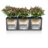 LECHUZA Jardiniere - Trio cottage 30 - 100 x 32,5 x 34,5 cm - 42 L - Kit comp...